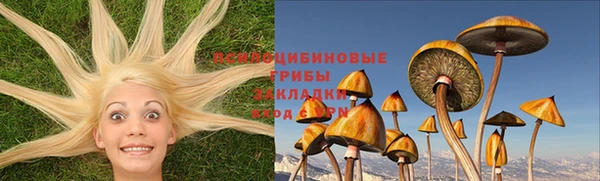 гидра Баксан
